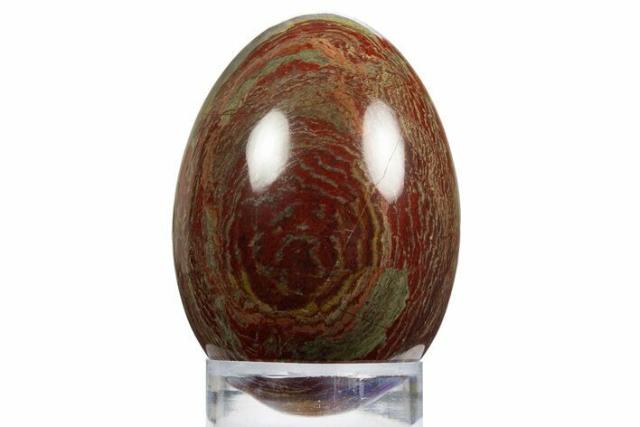 Polished Red and Green Snakeskin Jasper Egg - Western Australia #312700